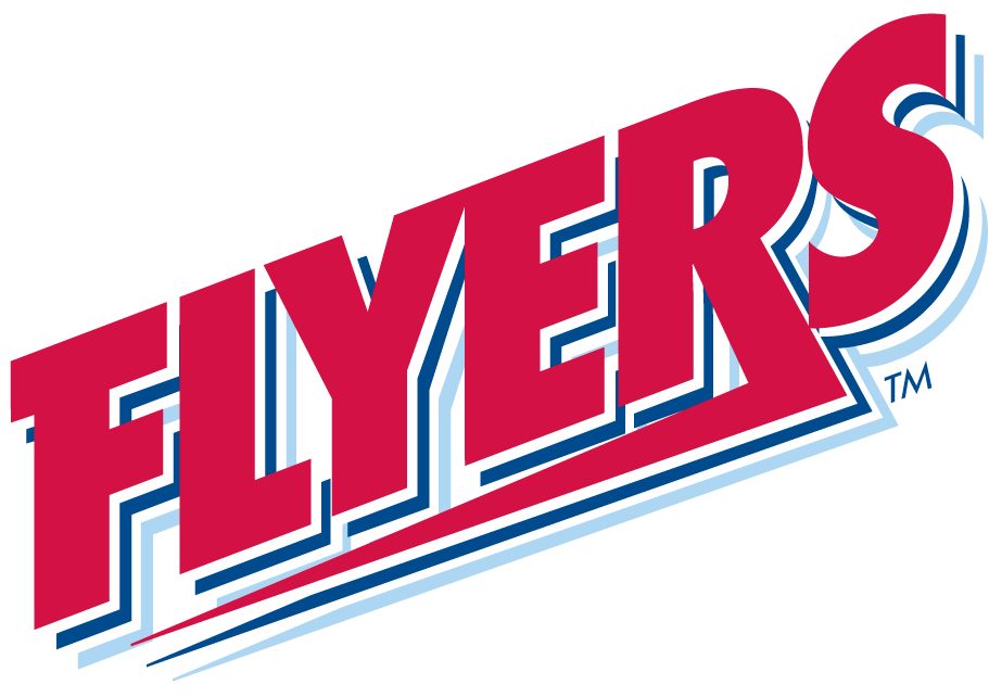 Dayton Flyers 1995-2013 Wordmark Logo v2 diy fabric transfer